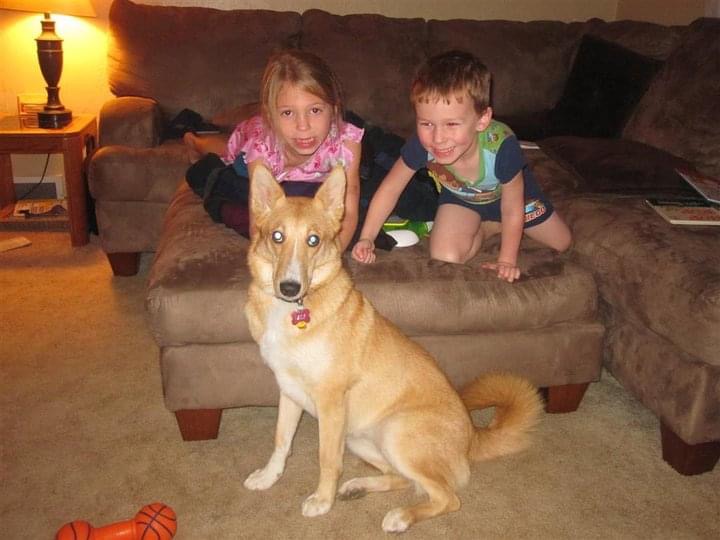 picture of Daisy with little Addison and Zach